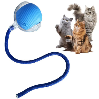 Balle Automatique Lumineuse pour Chat - Queue LED