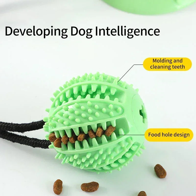 Dog Toys Chew Suction Cup Tug of War Interactive TPR Ball Slow Feeder Elastic Rope Pet Puppy Molar Bite Grinding Teeth Cleaning